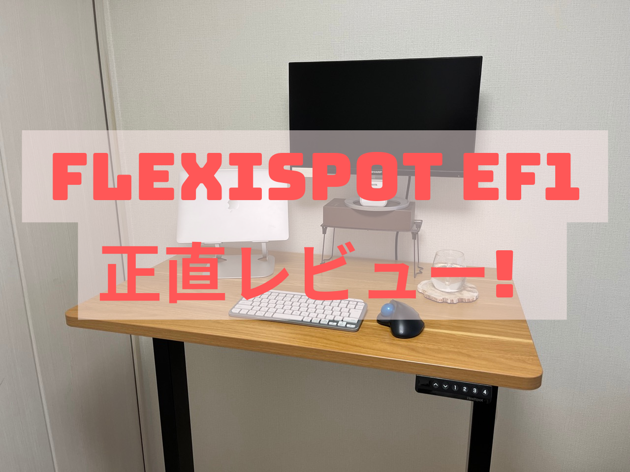 美品】使用回数少 FLEXISPOT EF1 面映ゆかっ 
